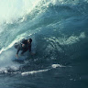 Meet your Posher, Leo